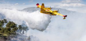 "La situazione è sicuramente delicata, senza precedenti, perché le altissime temperature, unite ai...