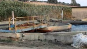   Le acque reflue provenienti da Castelvetrano, nel Trapanese, e depurate dall’impianto di via...