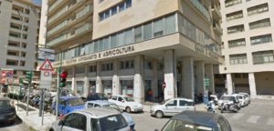 Ecoreati e tutela dell'ambiente