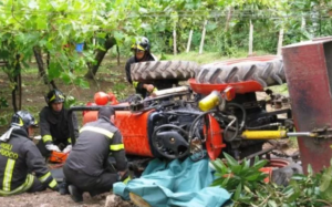 Un diciassettenne è morto nelle campagne di Termini Imerese a causa di un grave incidente. Il...