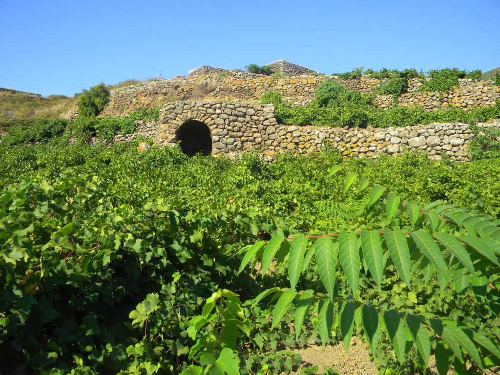 “Winergy” una mostra fotografica a Pantelleria dal 22 giugno