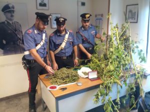 Marijuana in casa, i Carabinieri del Nucleo Radiomobile di Monreale hanno arrestato R.l.D., 32enne...