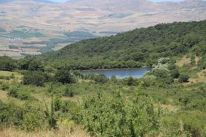 giornata nazionale degli alberi