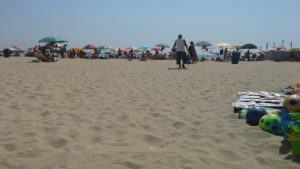 democrazia partecipata