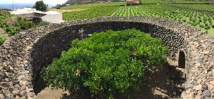 Incontro sul valore dell’acqua