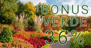 arriva il bonus verde