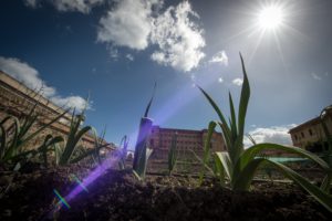 Le Vie dei Tesori a Palermo
