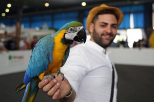 Expopet 2018 Catania