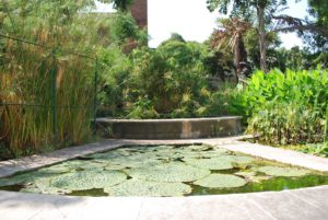 Orto Botanico Catania