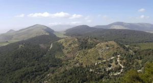 Piani Gestione Forestale