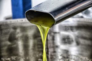 Campagna olivicola 2018/2019