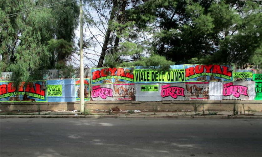 Pubblicità abusiva circo a Palermo, la Municipale eleva 106 sanzioni
