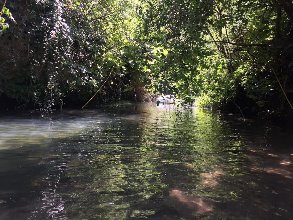 Regione autorizza riqualificazione foce fiume Oreto a Palermo