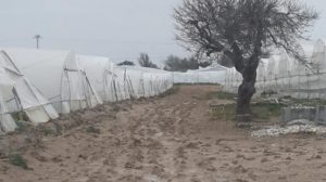 Danni maltempo Sicilia