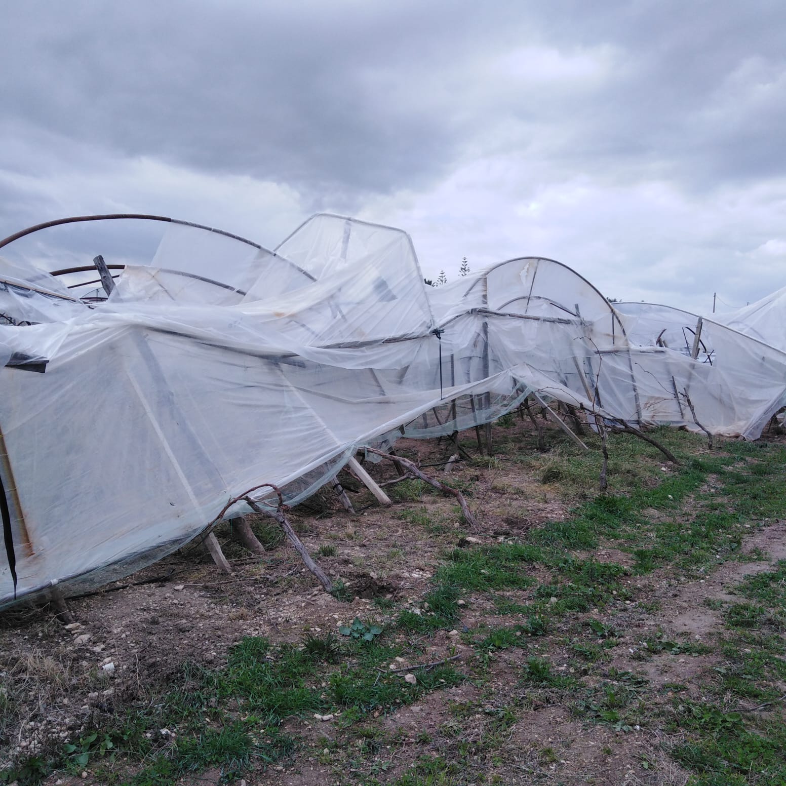 Richiesta di calamità per maltempo nel Catanese, via libera dalla Giunta