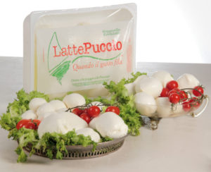 Latte Puccio di Capaci