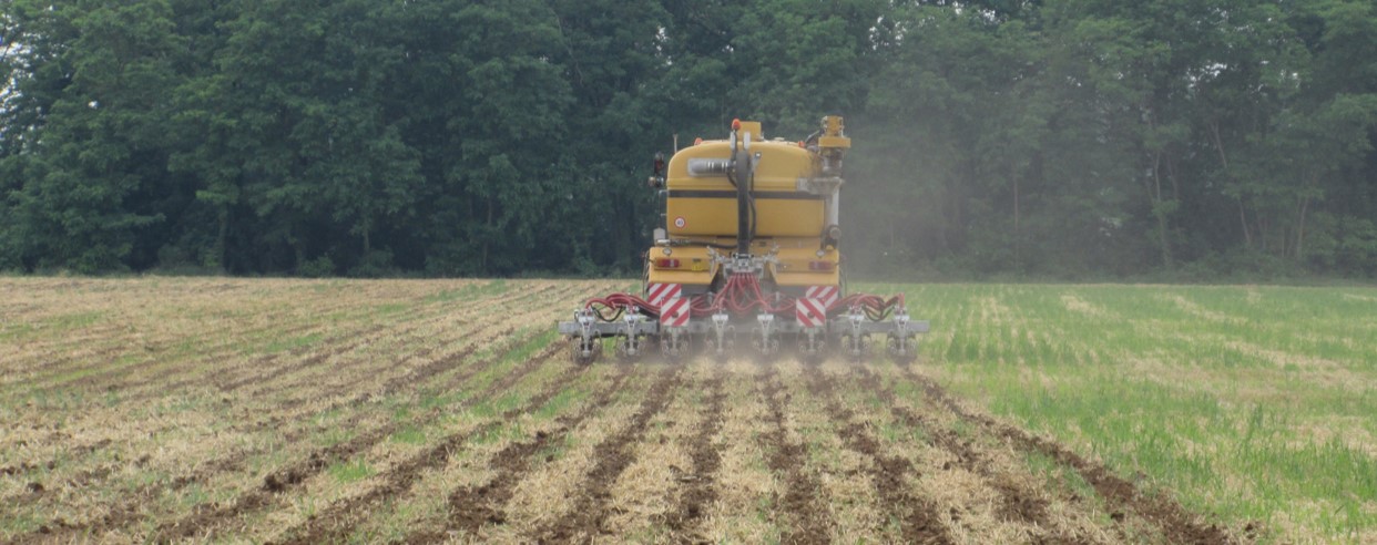 Energia da lavorazioni agricole, in Sicilia emanato un bando regionale