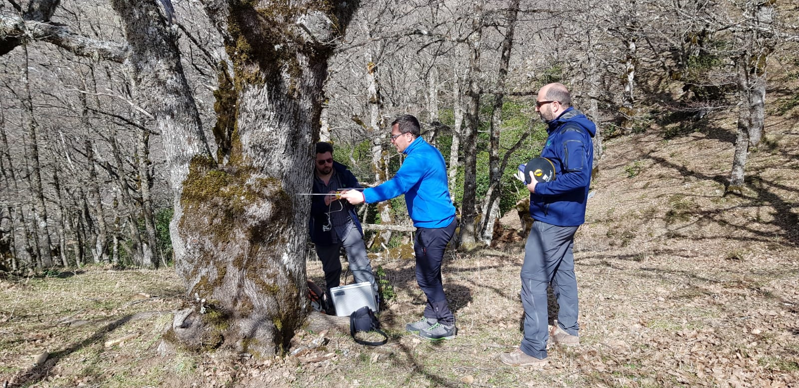 Energie Rinnovabili, a Petralia Sottana 2 giorni per scoprire i vantaggi