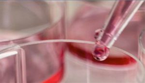 Politecnico di Milano