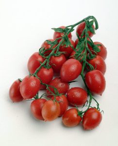 Nasce comunità slow food a Licata