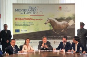 Fiera Mediterranea del Cavallo