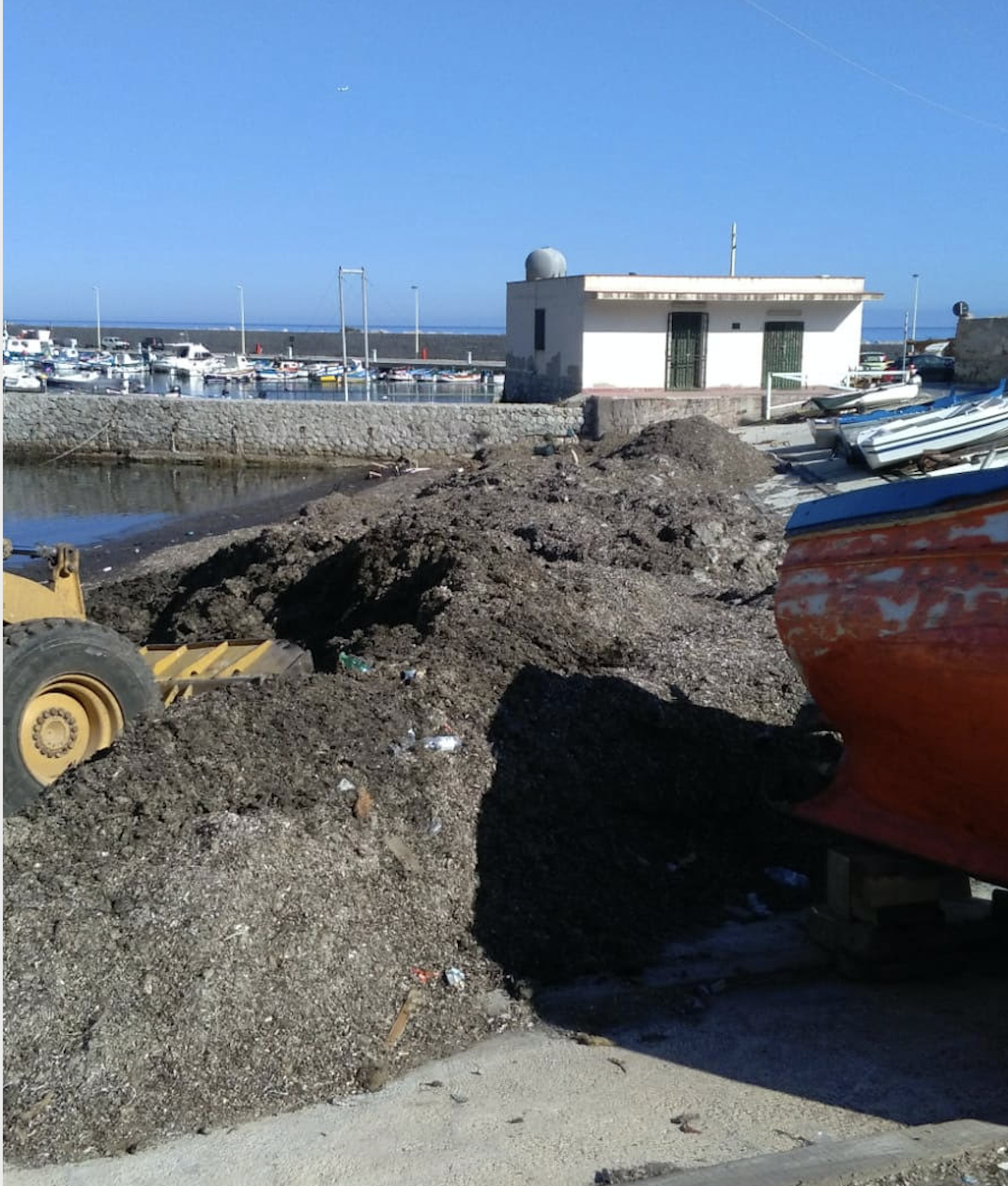 Alga tossica, nuovo divieto di balneazione a Sferracavallo