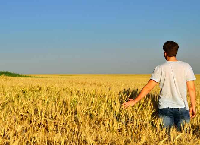 Giovani agricoltori siciliani, in arrivo 260 mln per 1.625 nuove leve