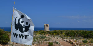 Giornata delle Oasi del WWF