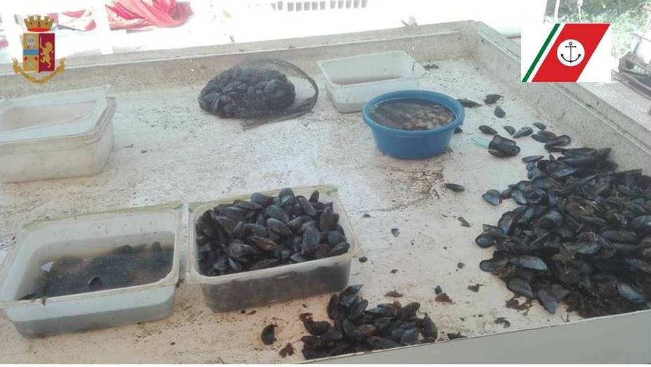 Taranto, sequestrati due quintali di cozze destinate alla vendita
