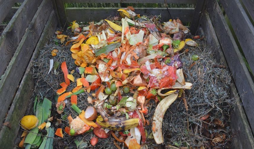 Spreco alimentare Sicilia, stima di 360 mila tonnellate di cibo l’anno