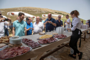 Agricoltura e Zootecnia