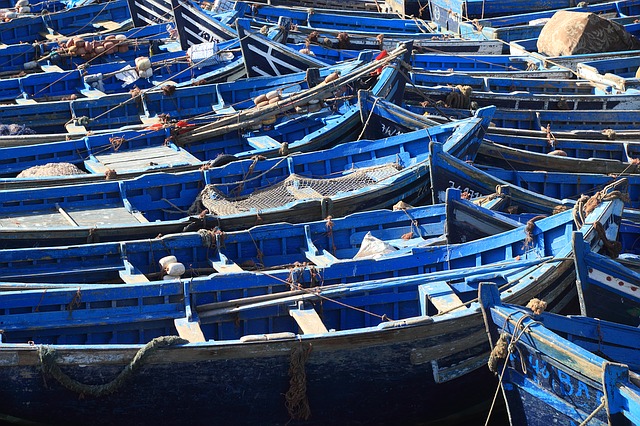 Riforma Pesca in Sicilia, approvata la legge che trasforma il comparto