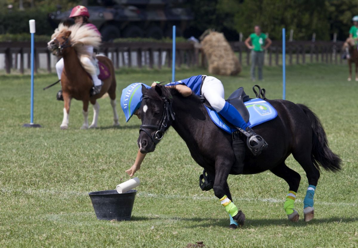 Equitazione: dal 28 al 31 agosto a Roma la 14^ edizione delle ponyadi