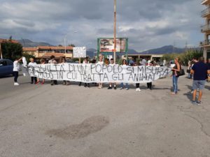 Cagnolina uccisa a Partinico