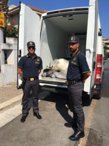 Commercio illegale di tonno rosso. Nell’ambito dell’attività di controllo economico del territorio...