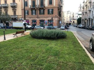 Piazza Bottego. Completati nei giorni scorsi i lavori di sistemazione a verde della piazza Bottego...