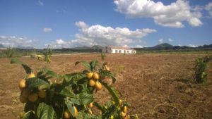 Il progetto ri-coltiviamo