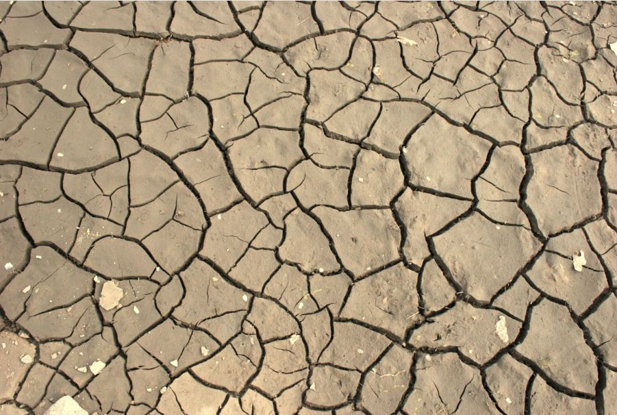 Coldiretti, al Sud è allarme siccità