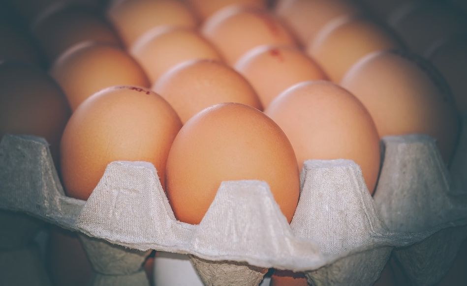 Controlli dei Nas, sequestrate 32 mila uova in tutta Italia