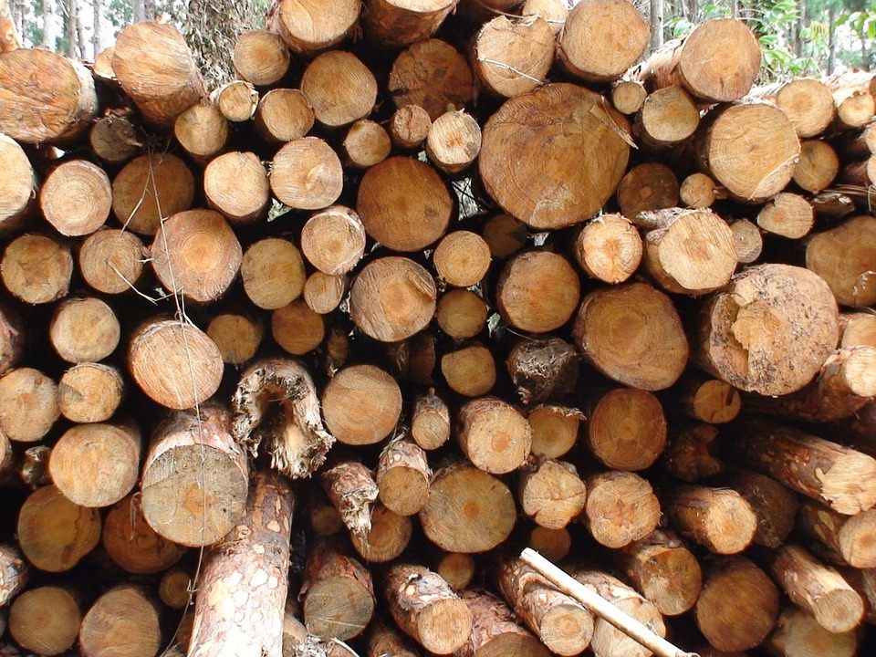 Al via il progetto per abbattere la CO2 dei prodotti in legno