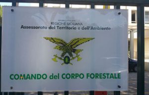 Corpo forestale