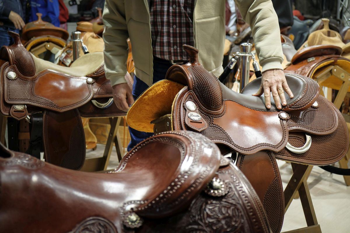 Torna a Verona Fieracavalli, in mostra oltre 2 mila esemplari