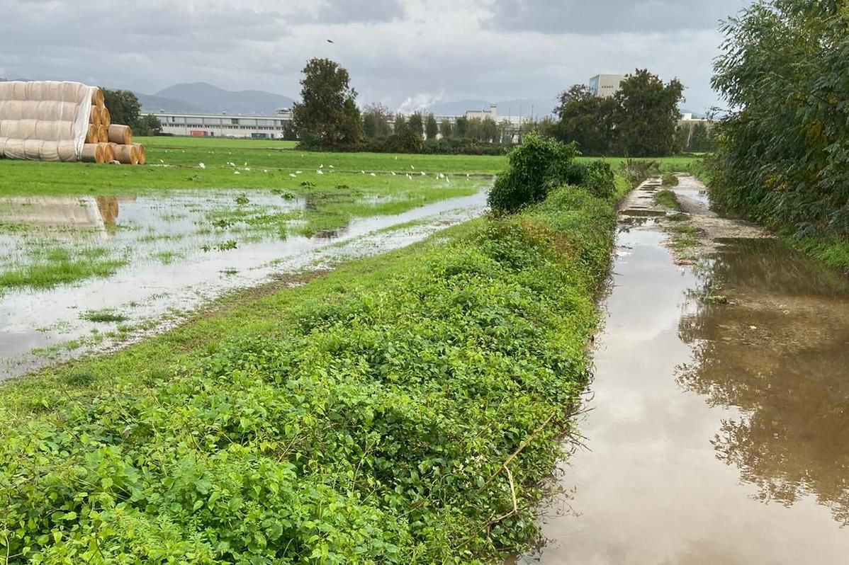 Maltempo, Di Maio: “Dramma non è solo per Venezia ma nessuno ne parla”
