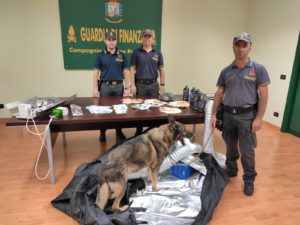 Marijuana da Amsterdam