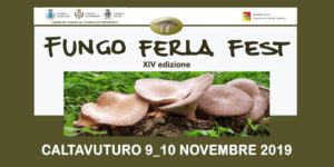 Fungo Ferla Fest 2019