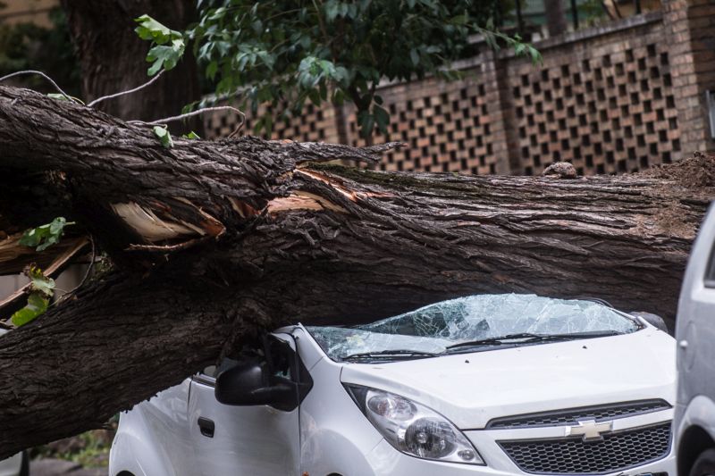 Maltempo, da Reale Group un fondo da 5 milioni di euro