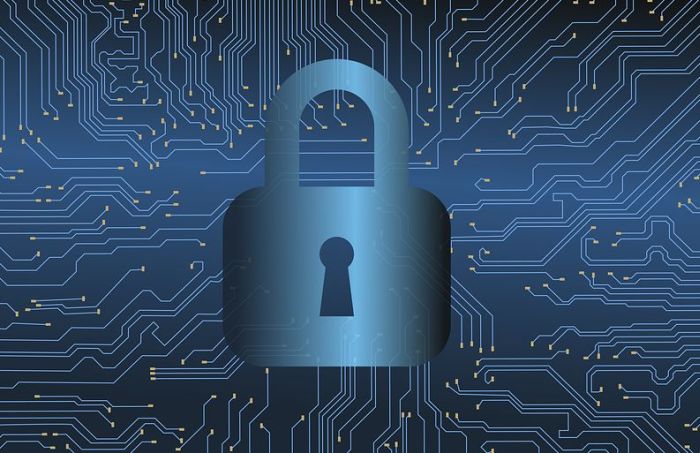 Operazione contro il Cyber-riciclaggio, identificati 170 “Money Mules”