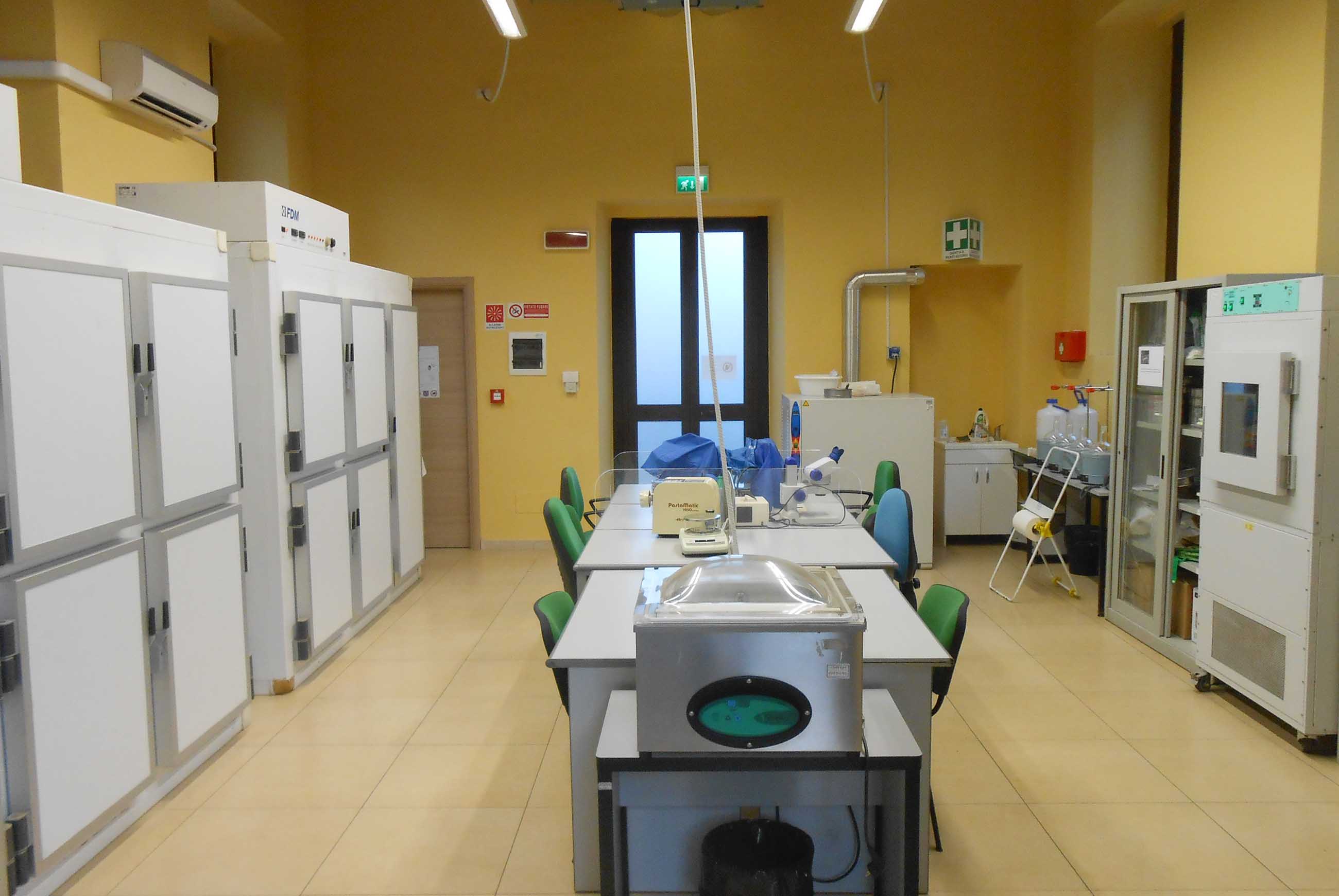 Care-Mediflora, 107 specie raccolte nella Banca del Germoplasma di Catania