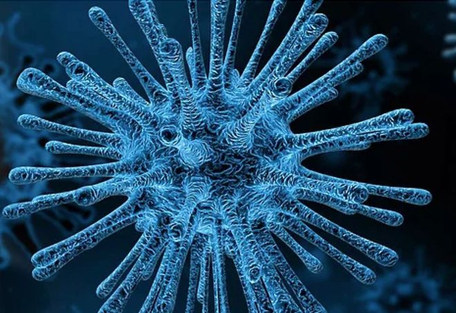 Coronavirus, e’ emiliano il primo italiano contagiato
