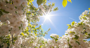 Meteo Sicilia di giovedì 12 marzo 2026: previsioni provincia per provincia